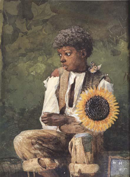  Taking Sunflower to Teacher (mk44)